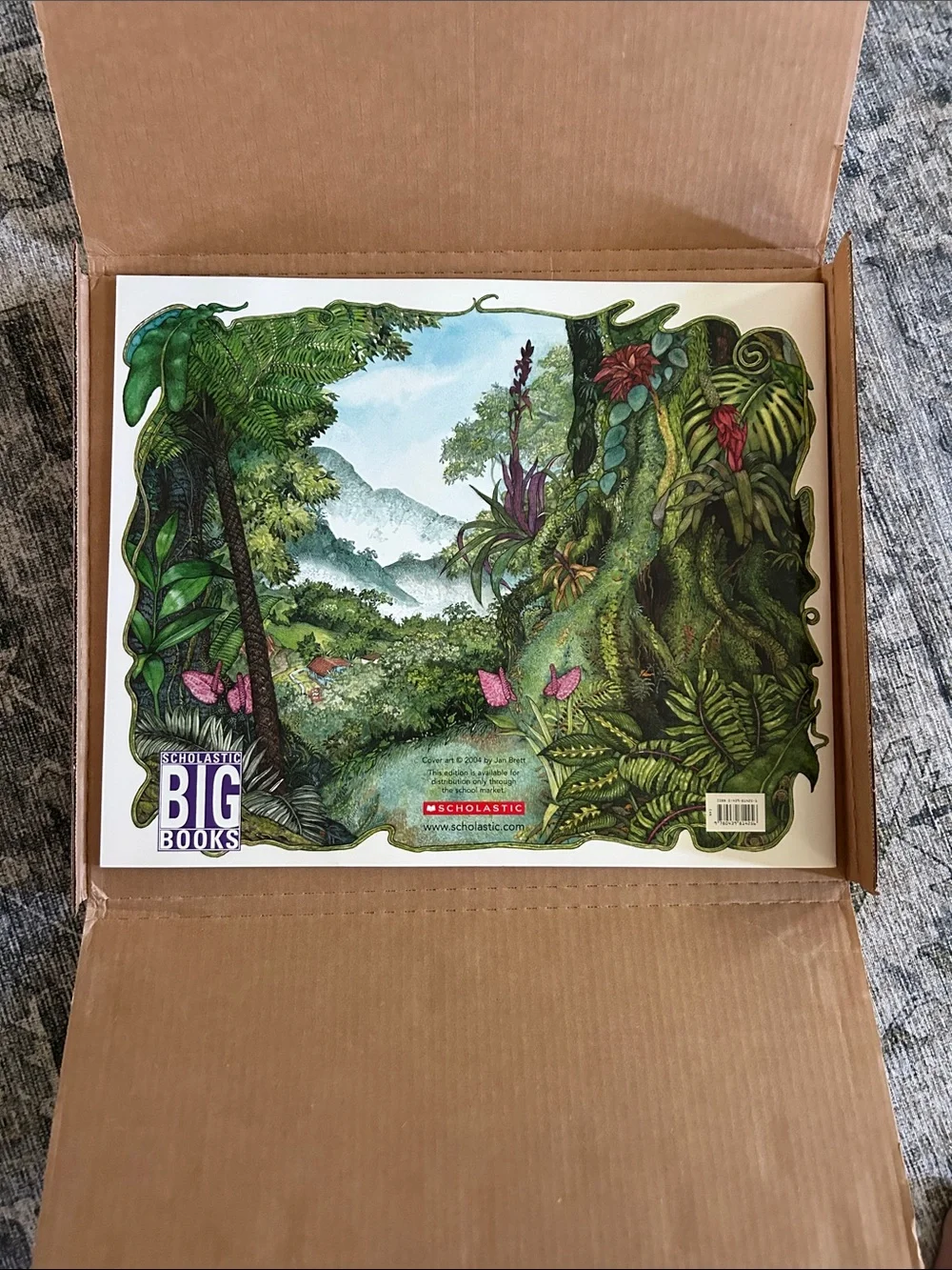 Scholastic Classroom Big Book- The Umbrella